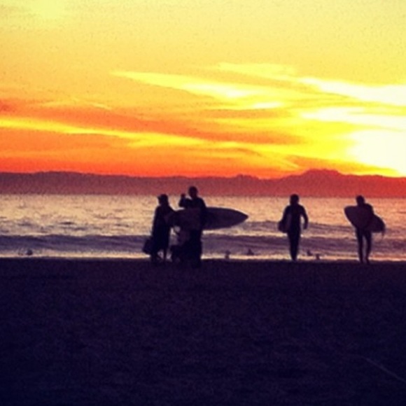 Meet your Posher, Cat - Picture 2 of 8